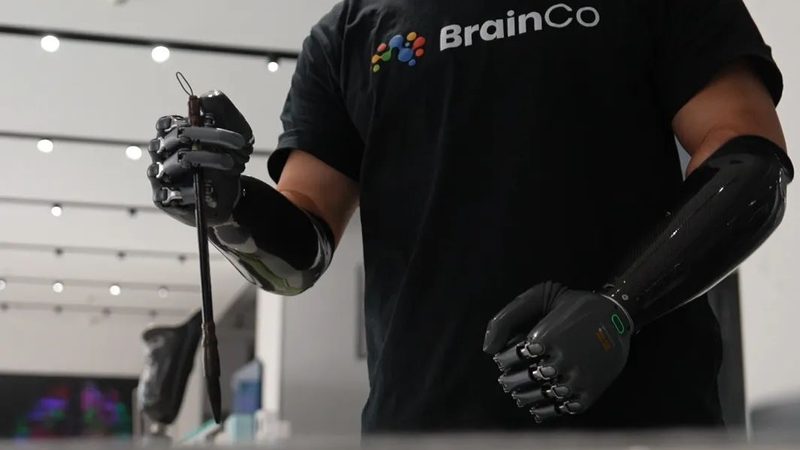 人工智能应用开发，算法选择的关键考量**